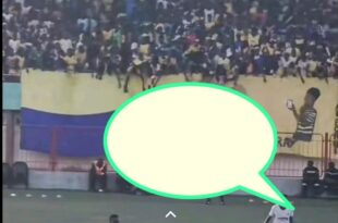 Screenshot 20251013 1542142