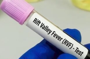 Screenshot 20251016 180542