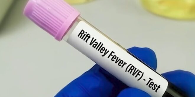 Screenshot 20251016 180542