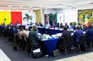 WhatsApp Image 2025 01 22 a 19.38.41 a10a65f3 1