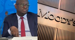 collage 2025 10 11T121940.640 scaled 1