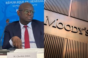 collage 2025 10 11T121940.640 scaled 1