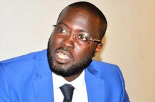 papa mahawa diouf f 1