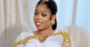 thumb 1260x800 689ce2bd23773 izI1ORtXq4