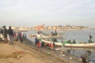 thumb 1260x800 68e8ec06bbf40 8Ud5ymFn2v