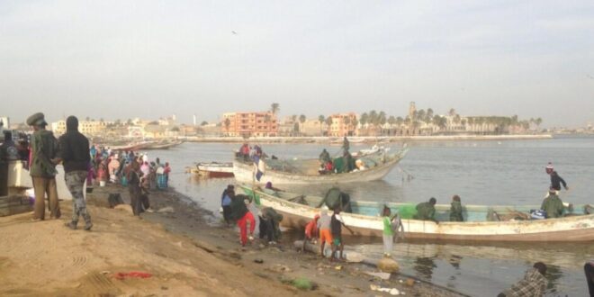 thumb 1260x800 68e8ec06bbf40 8Ud5ymFn2v