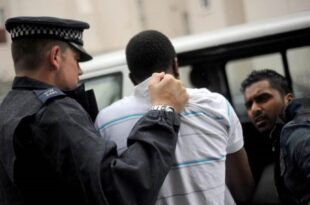 thumb 1260x800 68fb3a0bd1b90 NYn3NNMC3t