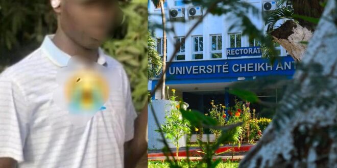 thumb 1260x800 690474c629411 YhUY4NTri9