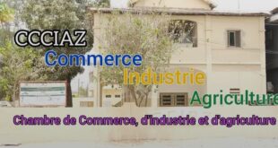 Screenshot 20251113 1334582