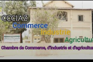 Screenshot 20251113 1334582