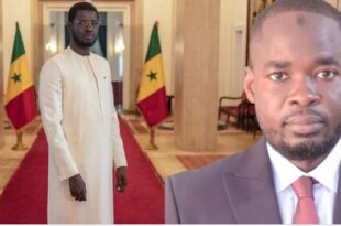 Screenshot 20251119 1341352