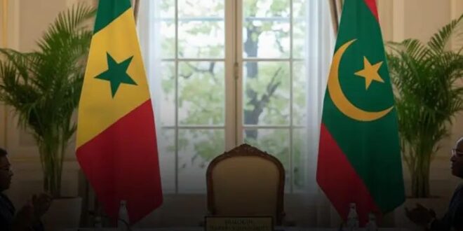 Screenshot 20251122 1742062