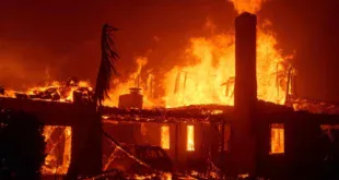 incendie los angeles