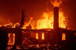 incendie los angeles