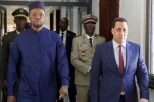 incollage 20251113 230457709 750x375 3996