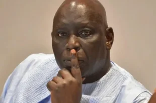 madiambal diagne