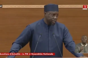ousmane sonko snsns