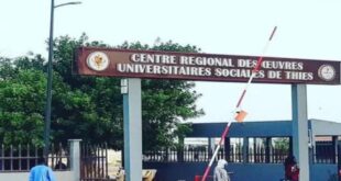 thies luniversite iba der thiam ferme