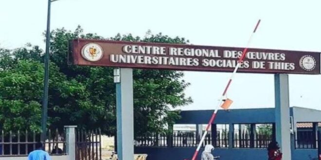 thies luniversite iba der thiam ferme