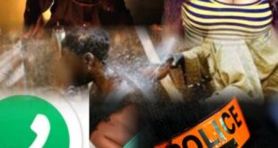 thumb 1260x800 69099a5d90624 BmP511e566