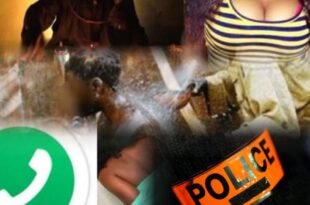 thumb 1260x800 69099a5d90624 BmP511e566