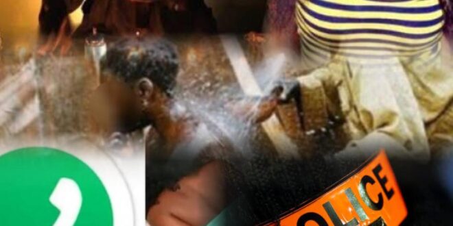 thumb 1260x800 69099a5d90624 BmP511e566