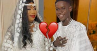 thumb 1260x800 69179dec055e6 bLp8MUZ2mK