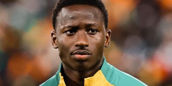 thumb 1260x800 691c2d5c488a4 ssrWAPQtE8