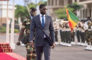 thumb 1260x800 6926a31305f72 YxyaQ1Phoi