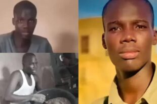 thumb 1260x800 692818429bf4d h304mDpWje