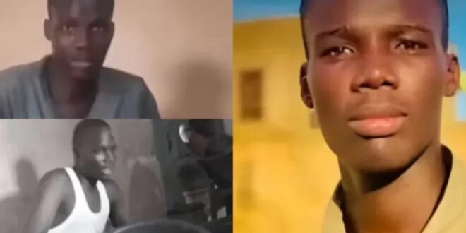 thumb 1260x800 692818429bf4d h304mDpWje