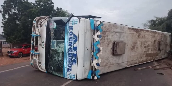 whatsapp image 2025 11 09 at 10.23.37 1