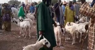 Screenshot 20251219 1649562