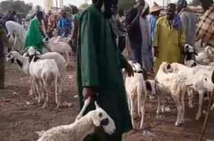 Screenshot 20251219 1649562