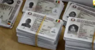 cartes electeur 2 3.jpg