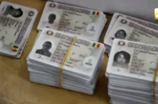 cartes electeur 2 3.jpg