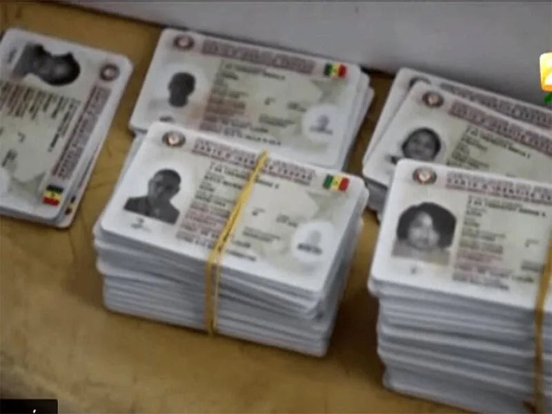 cartes electeur 2 3.jpg