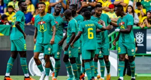 lions du senegal en vert