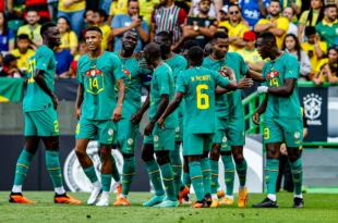 lions du senegal en vert