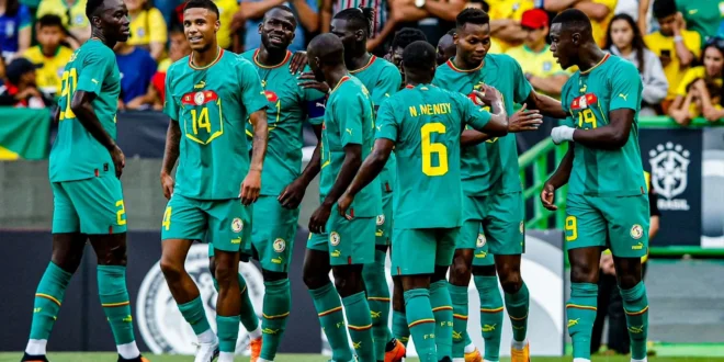 lions du senegal en vert