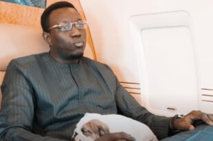 thumb 1260x800 69391942b555a ZuhmwvbljL