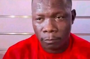 613133702 1308683331286222 1181290216394196809 n