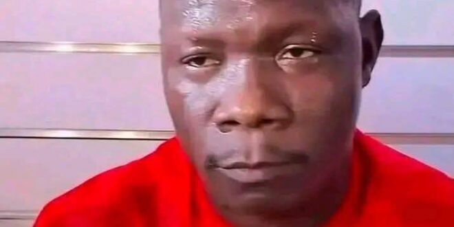 613133702 1308683331286222 1181290216394196809 n