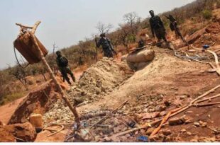 Screenshot 20260125 1727212