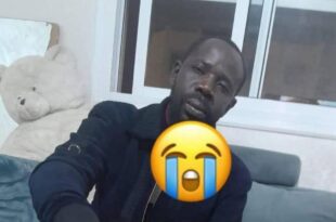 thumb 1260x800 696f2e5a8acf9 guR2vXjslv