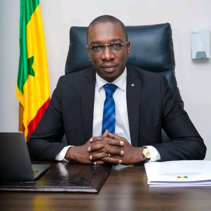Reddition des comptes : l'Assemblée nationale livre Moussa Bocar Thiam à la haute cour de justice 1 1763892332518