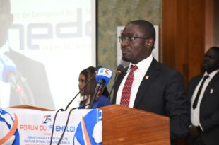 627553404 1459018062454725 6284100600335901938 n