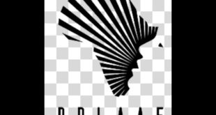 IMG 20260225 WA00562