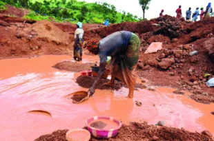 Les orpailleuses de Kharakhena le 16 08 2025©Moussa SOW 4 copie 1200x800 1