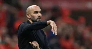 MjAyNjAyZDlkM2YxY2MxNDllZWM0NjNkY2FhNzkzYWQxNjAyNzU